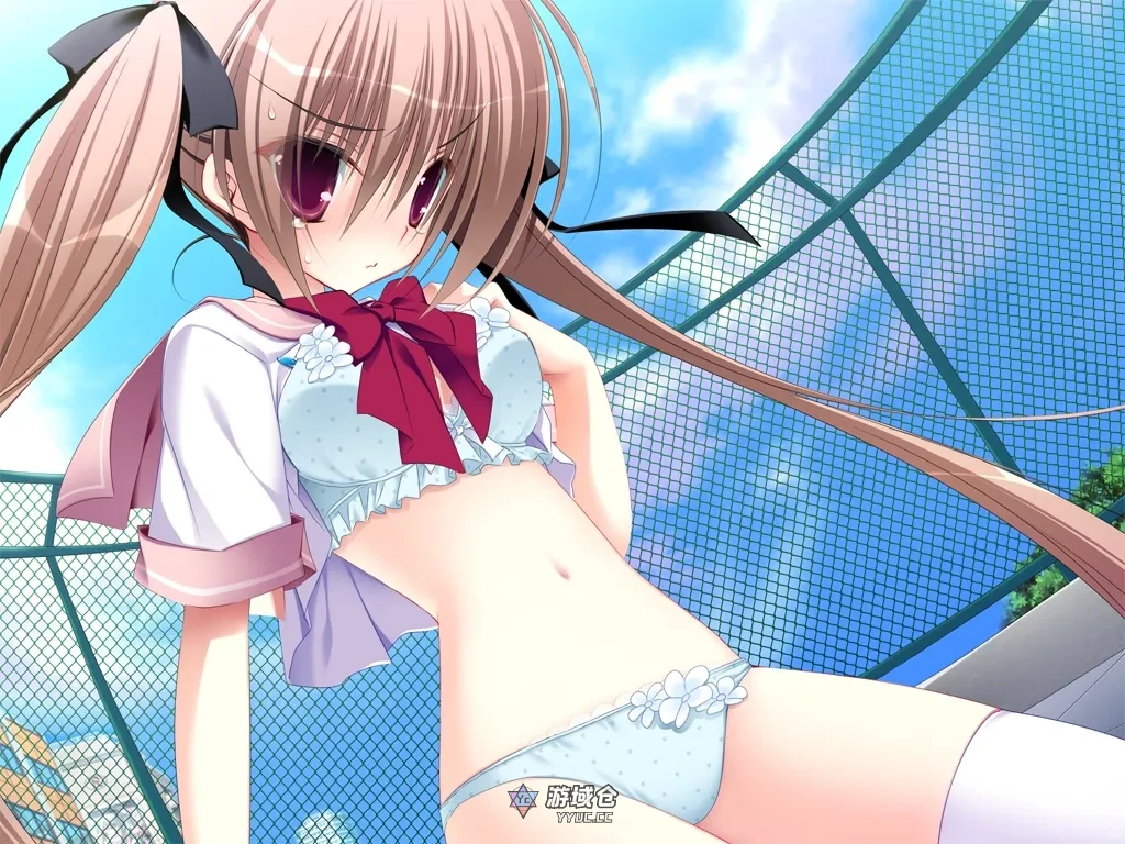 【gal】妹調教日記 / 妹调教日记+FD こんなツンデレが俺の妹なわけない!〜PC+ONS+安卓直装版本 [7.26G] ACG手游 第2张