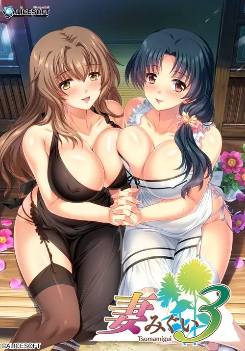 [神级大作] [Alicesoft] 妻中蜜3 妻みぐい３ v0.801 润色汉化版+攻略+全CG存档 [2.30G] ACG端游 第1张
